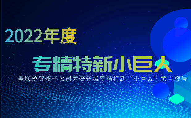聚焦高质量生长，，，，行远自迩、踔厉高昂——锦州ng电子游戏汽车部件有限公司荣获省“小巨人”称呼